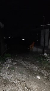 10K views · 79 reactions | “The Scariest Footage Ever Caught on Camera” #spookyseason #EvilReturns #evilspirits #darkandevil #HauntedHalloween | After Dark Horror | Facebook