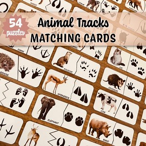 Animal Tracks Matching Activity | Printable Digital Download, Nature Study Preschool Activities | Animal Tracks Self-correcting Puzzles - Etsy