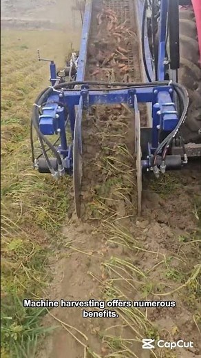 Machine Harvesting: Efficiency and Benefits in Modern Agriculture