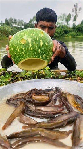 10K views · 44 reactions | I Built a DIY Fish Trap That’ll Make Every Fisherman Jealous | Catch Fish With ET | Facebook