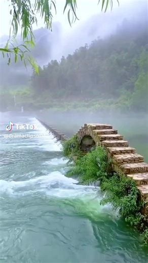 maria queen on TikTok