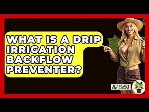 What Is A Drip Irrigation Backflow Preventer? - The Plant Enthusiast