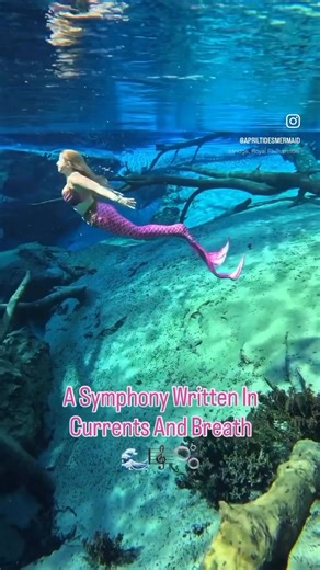 Some Mermaids Swim. Others Create Entire Symphonies Beneath The Surface. 🎶🫧 🧜🏼‍♀️👙 Malibu Signature Mermaid Tail and top by @finfolkproductions 🎥 by @gulfcoastmermaid_official #mermaid #symphony #underwaterphotography #siren #mermaidhair | Apriltidesmermaid