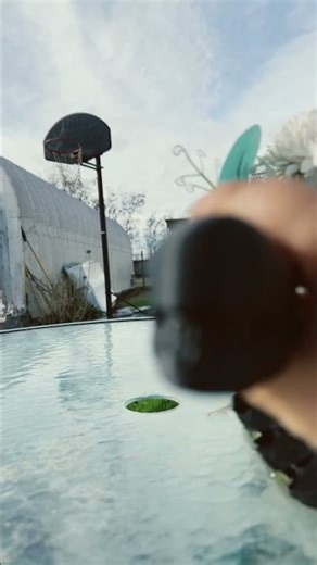 meet mr chest burster￼