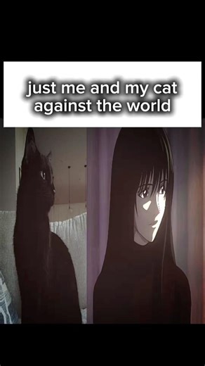 4/365 #cat #cats #viral #cute #365dayschallenge #youtubeshorts #anime #world #joinme #music #me