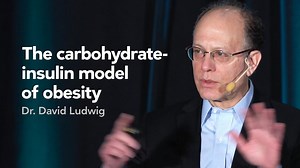 The physiological adaptation to low carb — Diet Doctor