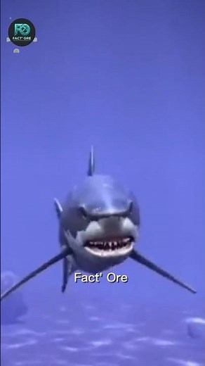 The Shark Jumped Out of the Ocean for This 😱🦈