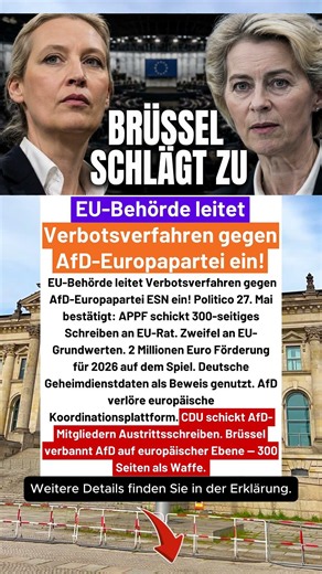 300 Seiten gegen AfD — EU leitet Verbotsverfahren gegen ESN-Partei ein! #deutschland