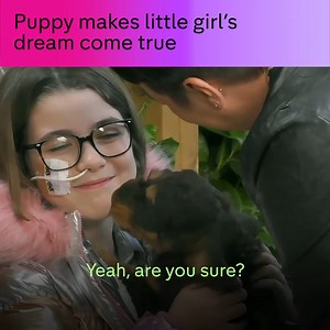 1.5M views · 10K reactions | What a special bond | Channel 4 | Facebook