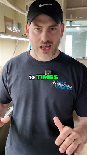 147K views · 1.4K reactions | Welcome to our Daphnia Farm! This setup...