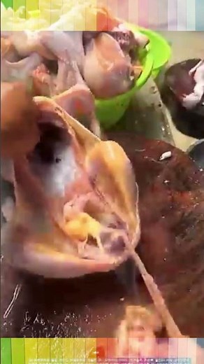 The Fastest Way to Clean a Chicken! Professional Poultry Technique #CookingSkill