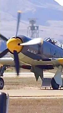 The Hawker Sea Fury Fighter-bomber