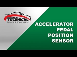NTK - Accelerator Pedal Position Sensor (APPS)