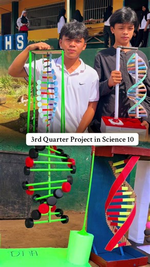 Grade 10 Science Project: DNA Model Structure