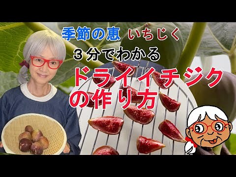 【3分でわかるドライイチジクの作り方】季節の恵 いちじく