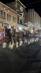 Budweiser Clydesdales in Marshall Texas last night! #texas | FirstCastCabin