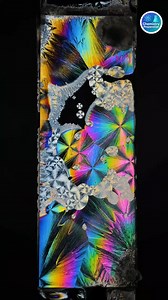 Today I put Menthol crystal under polarized light, let's see what happens... #fblifestyle #examtips #StudyBuddy #ibchemistry #apchemistry #scince #ManUtd #cleaninghacks #bodyweightworkout | Chemistry Preparation