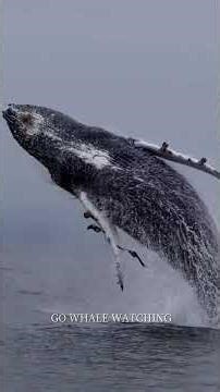 15 Once-in-a-Lifetime Travel Experiences the World Offers🌍✨ #motivation #travel #travelgoals