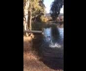 6.9K views · 231 reactions | Little Lake was stocked with 400 pounds...