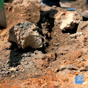 27K views · 257 reactions | "This is the exact kind of mystery archeologists hope for."  Explore #SecretsInTheJungle starting NOW on Science Channel! | Science Channel | Facebook