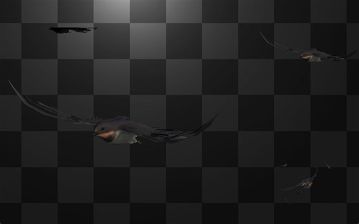 【视频教程】Unity里播放透明mp4视频-bili_3493293566462755-Unity精选快速入门教程，简单易懂-哔哩哔哩视频