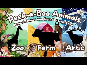 Toddler learning | Peek-a-Boo Animals | Learn Zoo, Farm, and Artic Animal Names and Sounds