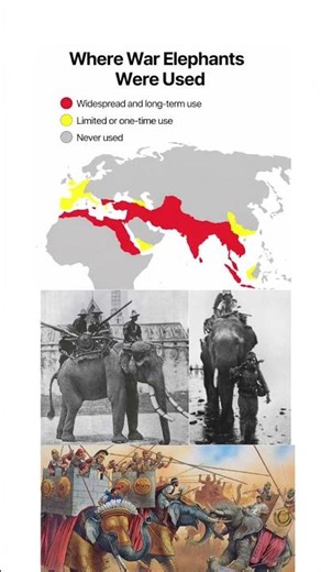 Where War Elephants Were Used – Regions where war elephants shaped ancient warfare