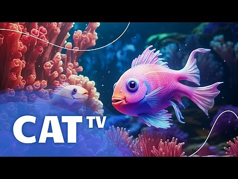 Cat TV - 12 Hours of Underwater Diving for Cats - Underwater Adventure & Coral Reefs! Sleepy Cat