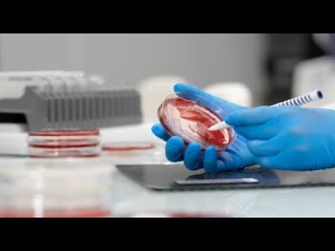 VITEK MS: Sample Prep - Bacteria and Yeast the VITEK PICKME Pen