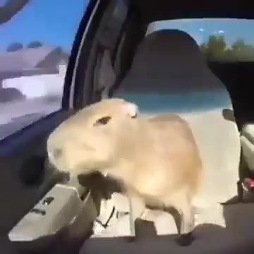 •*3clipser*• (@3clips31)’s videos with original sound - •*3clipser*•