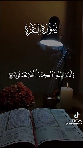 ولا تلبسوا الحق بالباطل وتكتموا الحق،تلاوة خاشعة للشيخ أحمد العجمي من سورة البقرة. 🎧📖 #تلاوة #البقرة