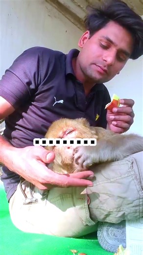 Miss You: A Heartfelt Tribute to Mr. Kamal