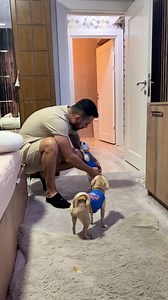 181K views · 6.3K reactions | How do Princess and Hazelnut dress? | Murat Noyan | Facebook