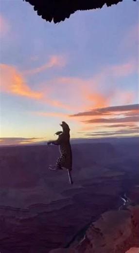 Leopard Leaps at Grand Canyon Sunrise #Nature #Wildlife #DigitalArtistry