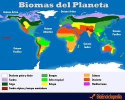 ZONAS BIOGEOGRAFICAS DEL MUNDO