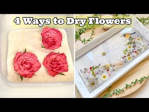 How to Dry Flowers for Resin Art: (4 Ways!)