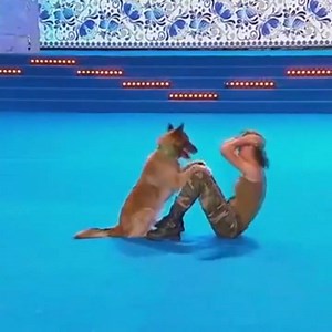 This dog amazing! | Amazing Videos