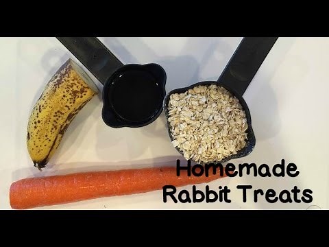 Homemade Rabbit Treats How To | AxelBunnyRabbit