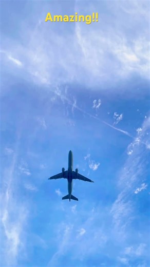 Plane flying through the perfect sky #airplane #beautiful #shorts #subscribe