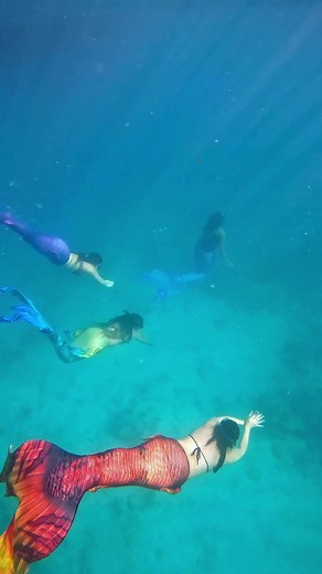 Ultimate Mermaid Dive Experiences: Become a PADI Mermaid!