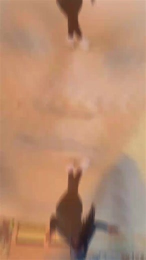 Snow Butterfly 🦋🦋🦋 (@snow.butterfly48)’s videos with No Not to You - Beenie Gunter