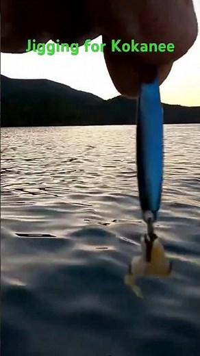 Jigging For Kokanee At Paulina Lake #jigging #kokanee #trout #salmon #paulina #lake #oregon #fishing