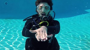 🐠 🦈 🐢 Scuba divers including deafs can't talk underwater but communication is an important key for a number of reasons including safety, warnings and identifying marine life. 👇 Here's the video which can help you to learn awesome hand signals to communicate underwater. Have fun! 🤙 Credit: SPORTDIVER | Deaf Discovery