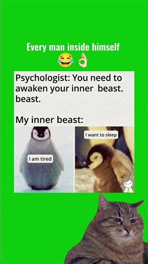 My inner beast is awake.😴🐧 #cat #humor #funny #cathumor #memes #funnyhumor #jokes #humorshorts #cute