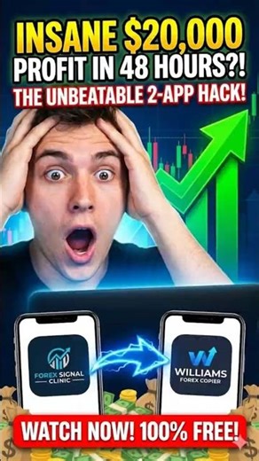 Copy Trading Software for day trading for beginners profit in 2026