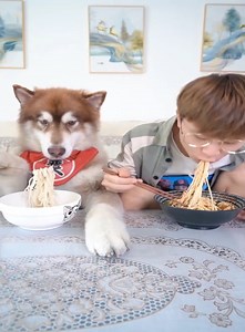 A funny dog with its owner | Healthy lifestyle