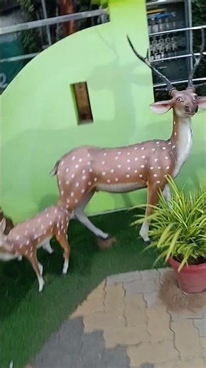 meera and arin in the park