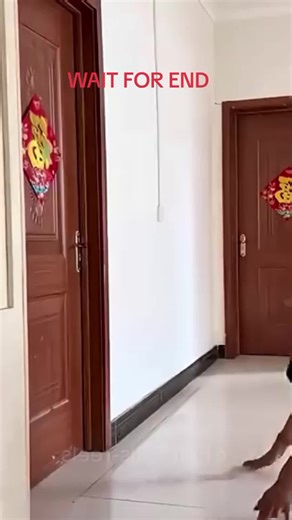 Must-See Funny Moments That Will Make You Laugh