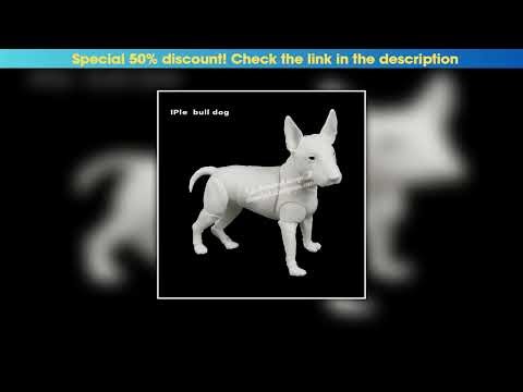 Get BJD Dog Pet 1/6 Doll BJD SD Joint Doll Oueneifs Educational Toys luodoll•••••••••••••••••••••••