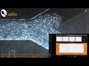 Precise pulse-free flow control with ExiGo Microfluidic Pumps